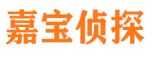 兴平侦探公司